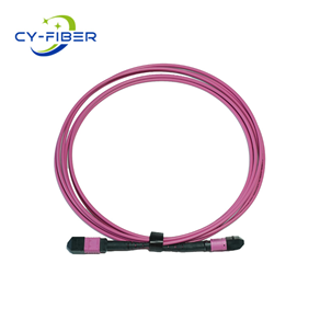 OM4 16芯MPO/MTP® UPC（母頭）轉(zhuǎn)MPO/MTP® UPC（母頭）多模光纖跳線，極性B