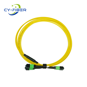 OS2 12芯MPO/MTP® APC（母頭）轉(zhuǎn)2xMPO/MTP® APC（母頭）單模轉(zhuǎn)換跳線，極性B