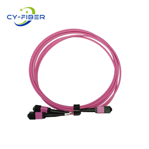 OM4 24芯MPO/MTP® UPC（母頭）轉(zhuǎn)2xMPO/MTP® UPC（母頭）多模轉(zhuǎn)換跳線，極性B